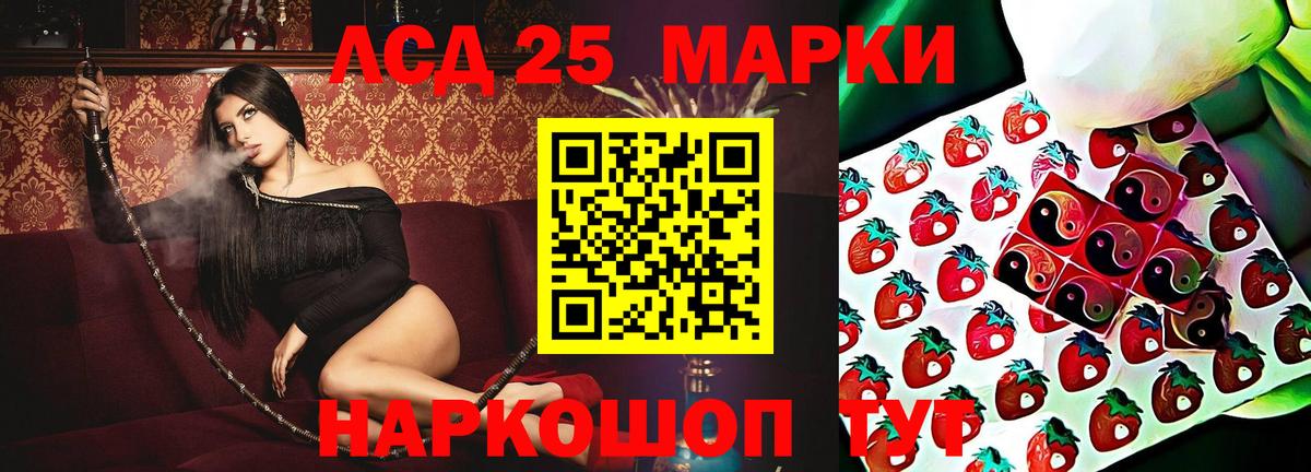 Лсд 25 экстази ecstasy  Вход с VPN  LSD-25 экстази  Бердск 