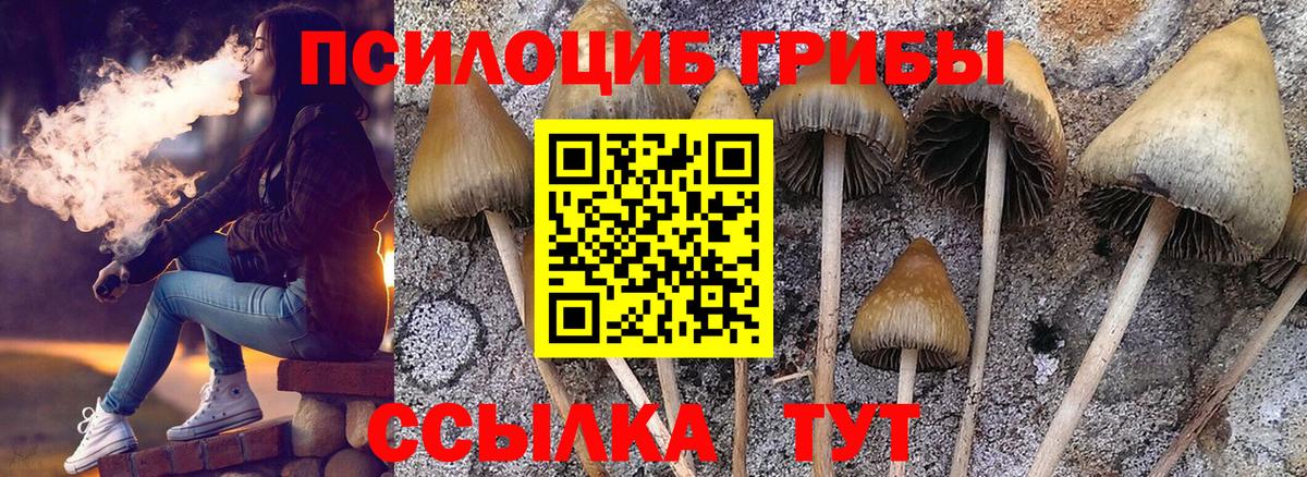 Бердск  Галлюциногенные грибы Psilocybe  Псилоцибиновые грибы GOLDEN TEACHER  Вход с VPN 